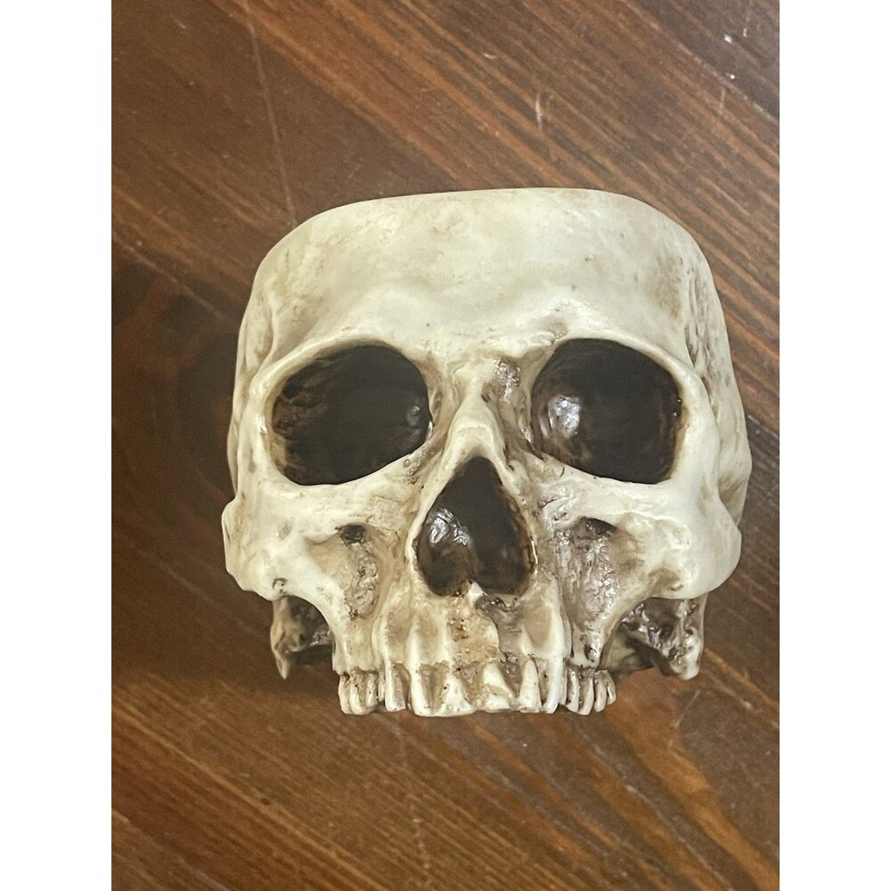 Modern Large Funny Resin Skull Shaped Head Design Flower Pot Planter Container